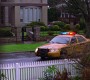 0795.jpg