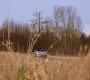 0578.jpg
