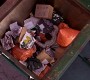0429.jpg