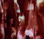 0320.jpg