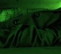 0529.jpg