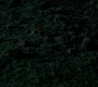 0536.jpg