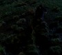 0538.jpg