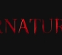 SPN_0010.jpg