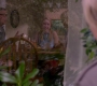 Filename=SPN_0953.jpg
Filesize=61KiB
Dimensions=1280x718
Date added=Sep 30, 2021 SPN_0953.jpg