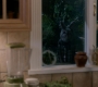 Filename=SPN_0017.jpg
Filesize=59KiB
Dimensions=1280x720
Date added=Feb 22, 2019 SPN_0017.jpg