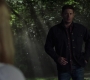 SPN_0006.jpg