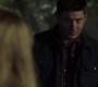 SPN_0014.jpg