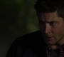 SPN_0019.jpg