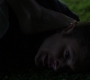 SPN_0030.jpg