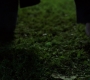 SPN_0072.jpg