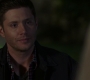 SPN_0096.jpg
