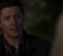 SPN_0129.jpg