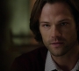 SPN_0835.jpg