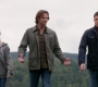 SPN_1696.jpg