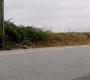 Filename=SPN_1704.jpg
Filesize=107KiB
Dimensions=1280x718
Date added=Sep 30, 2021 SPN_1704.jpg