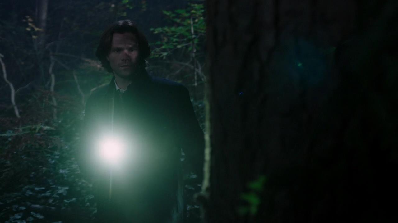 SPN_0904.jpg