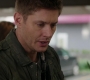 SPN_0295.jpg