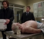 SPN_0321.jpg