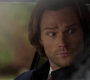 SPN_0403.jpg