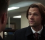 SPN_0690.jpg