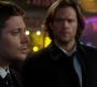 SPN_0770.jpg
