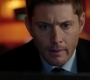 SPN_0790.jpg