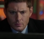 SPN_0830.jpg