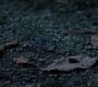 SPN_0848.jpg