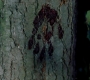 SPN_0907.jpg