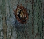 SPN_0908.jpg