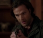 SPN_1404.jpg