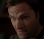 SPN_1408.jpg