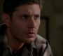 SPN_1426.jpg