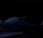 SPN_0055.jpg