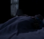 SPN_0064.jpg