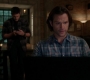 SPN_0079.jpg
