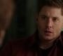 SPN_0310.jpg