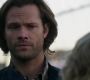SPN_0384.jpg