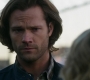 SPN_0390.jpg