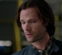 SPN_0446.jpg