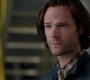 SPN_0466.jpg
