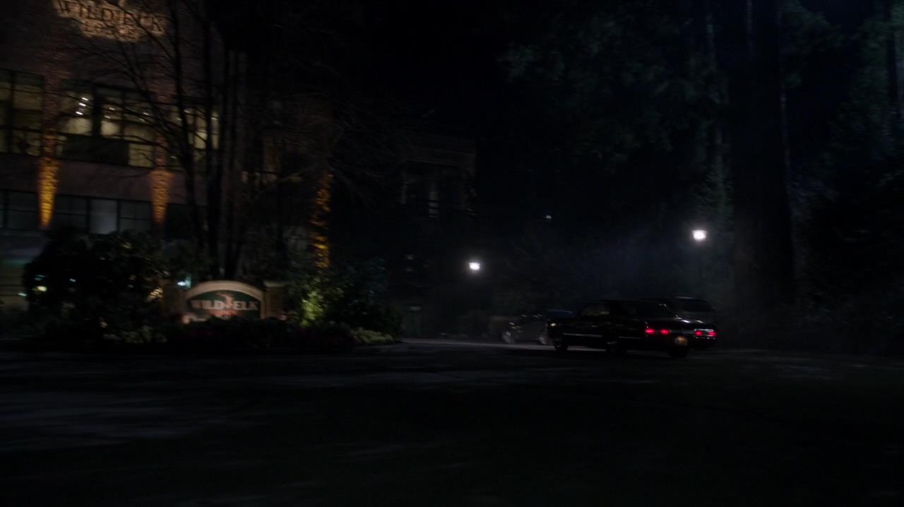 SPN_0334.jpg