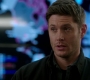 SPN_0238.jpg