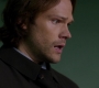 SPN_0470.jpg