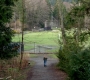 SPN_1178.jpg