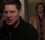 SPN_1529.jpg
