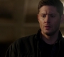 SPN_1823.jpg