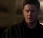 SPN_1825.jpg