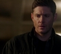 SPN_1832.jpg